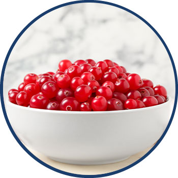 Cranberry Extract