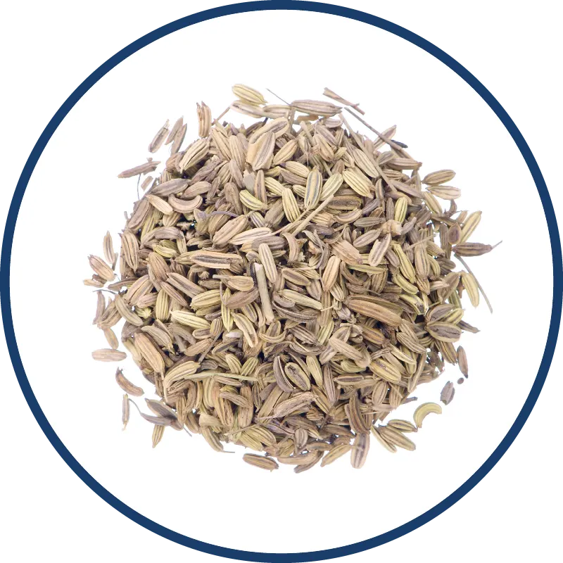 Fennel Seeds