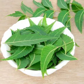 Neem