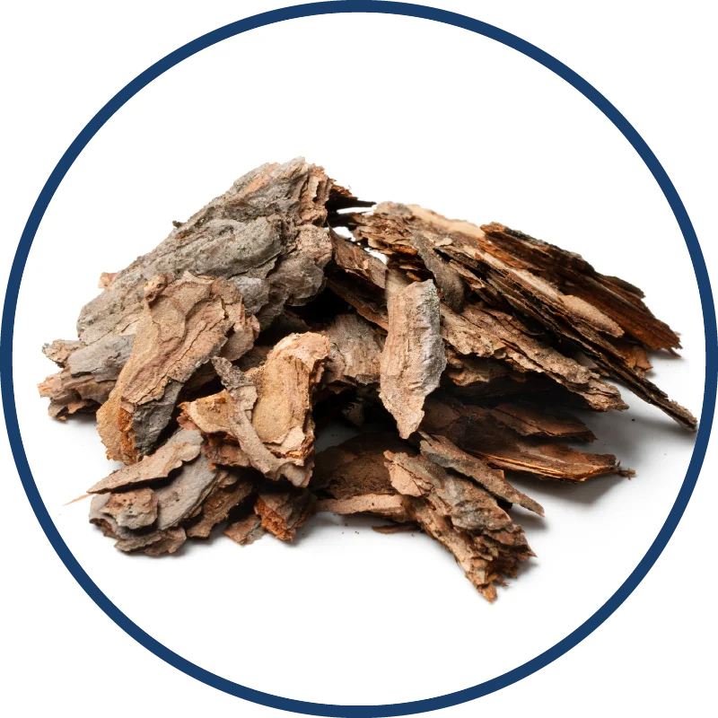 Slippery Elm Bark