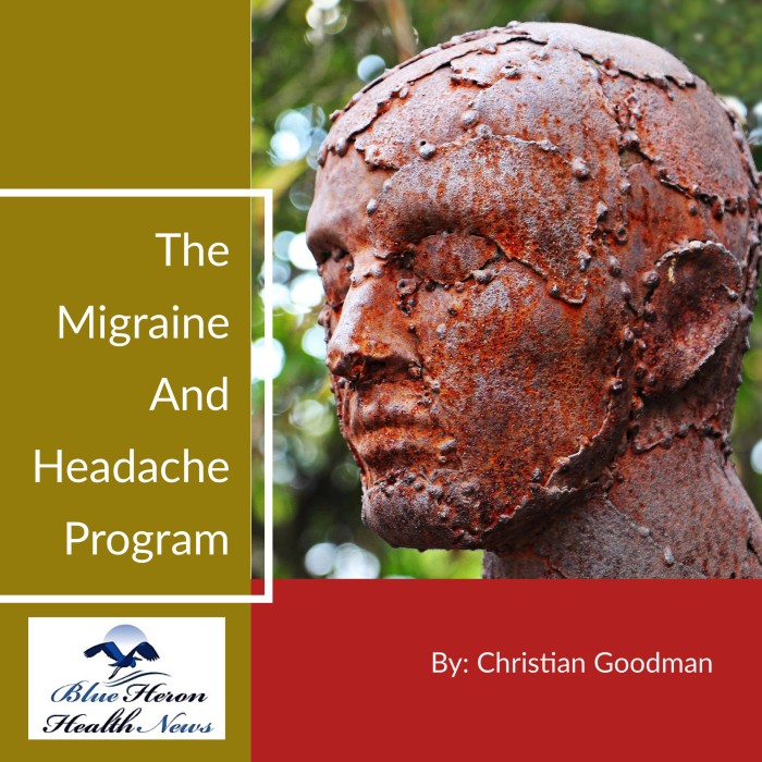 The Migraine And Headache Program Reviews