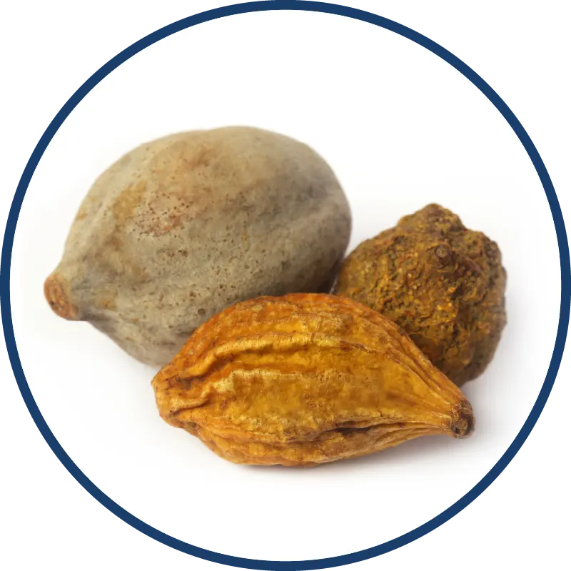 Triphala Fruit